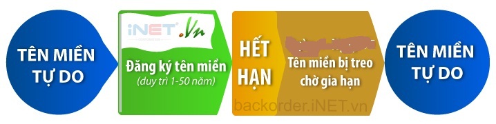 quy-trinh-backorder-ten-mien